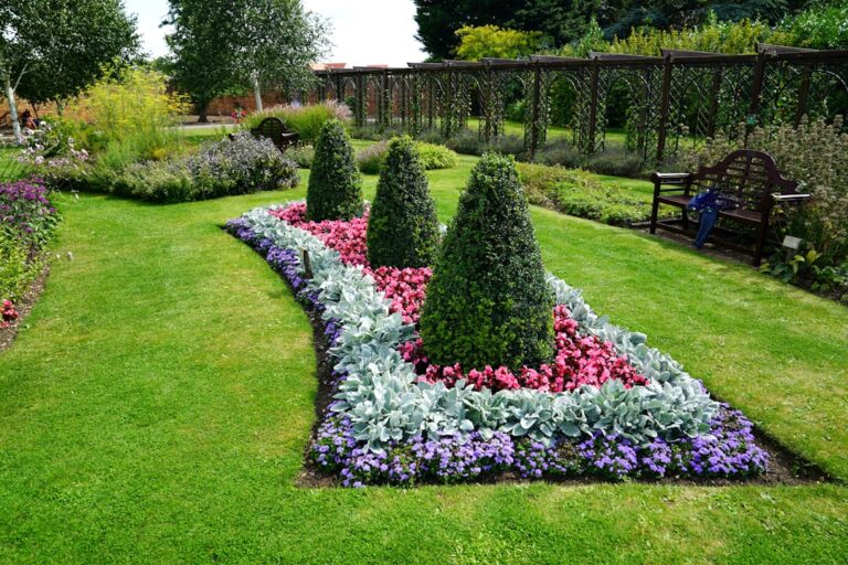 Enhance Curb Appeal with Professional Landscaping Services