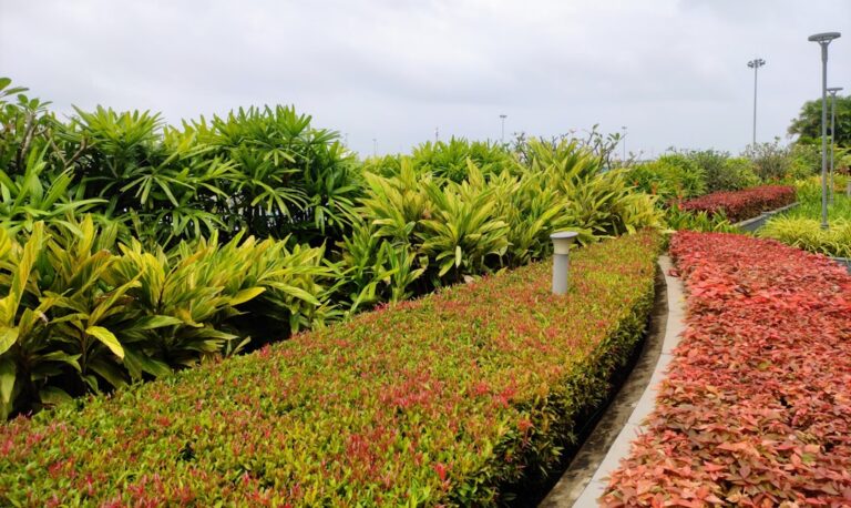 Discover the Beauty of Customized Landscape Designs Today
