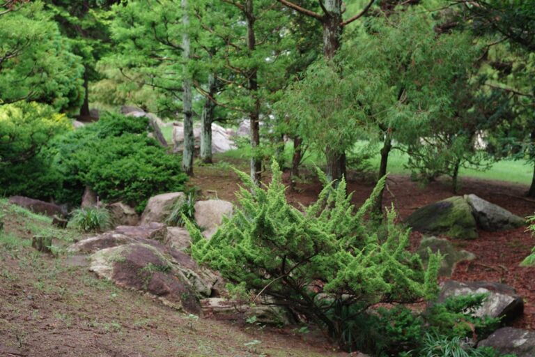 Sustainable Landscaping Practices for Eco-Friendly Gardens