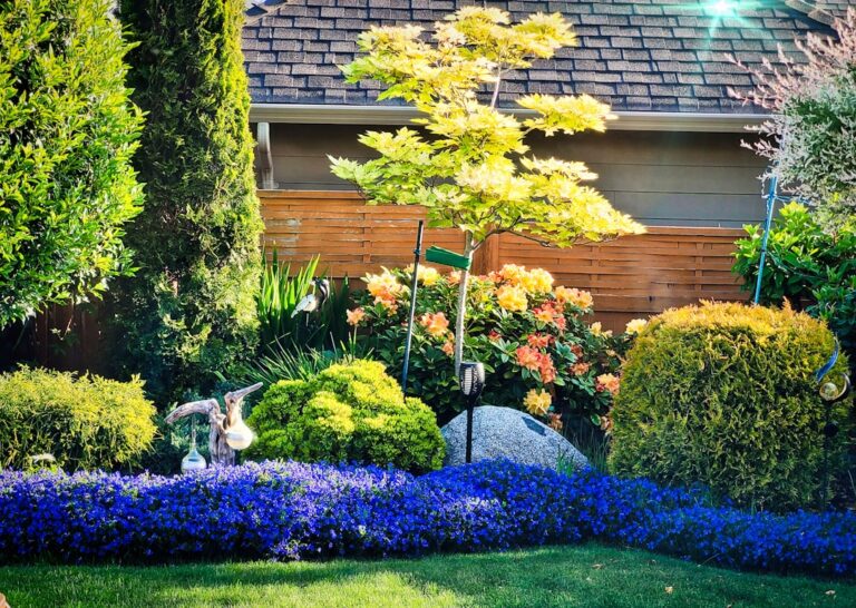 Comprehensive Landscaping Services to Revitalize Your Property