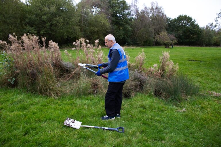 The Importance of Regular Maintenance for Your Landscape